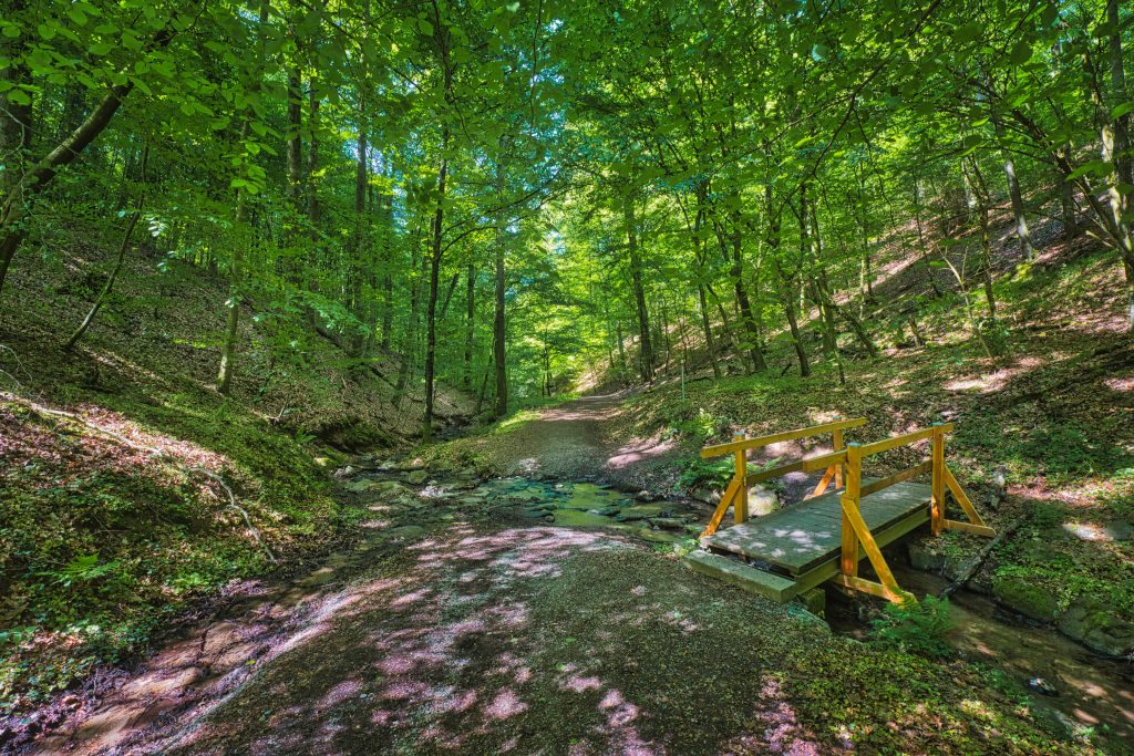 Brücke in der Rückersbacher Schlucht