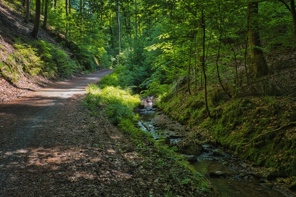 Bachlauf in der Rückersbacher Schlucht