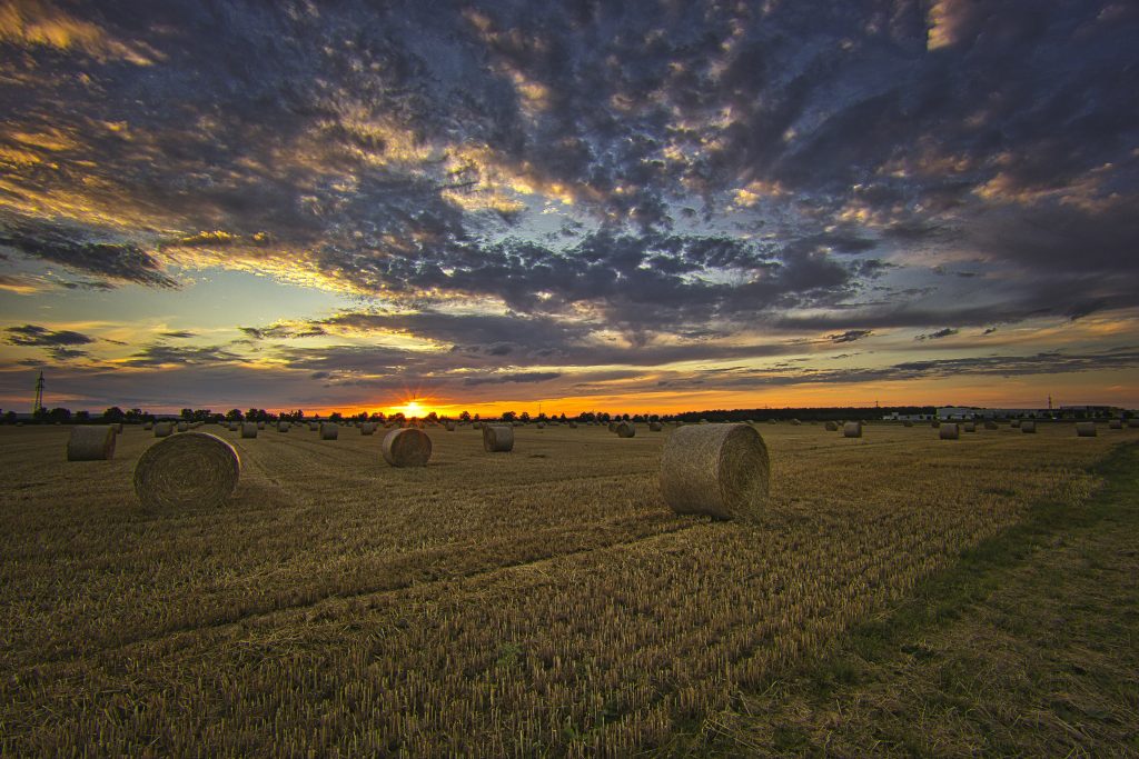 Strohballen zu Sonnenuntergang