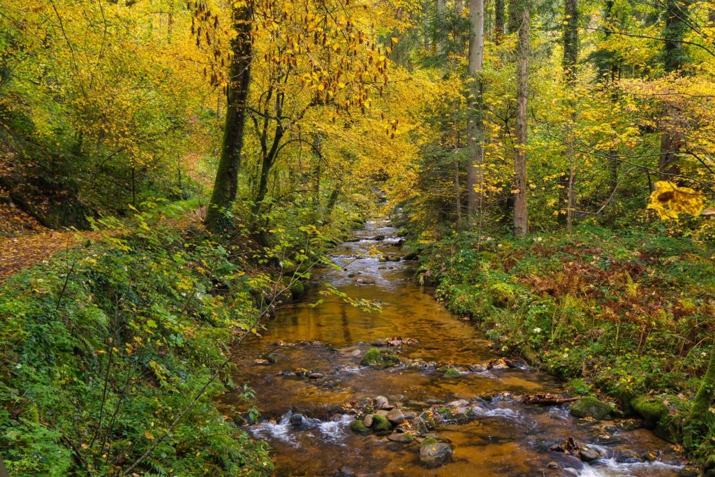 herbstlicher Blick am Geroldsauer Wasserfall