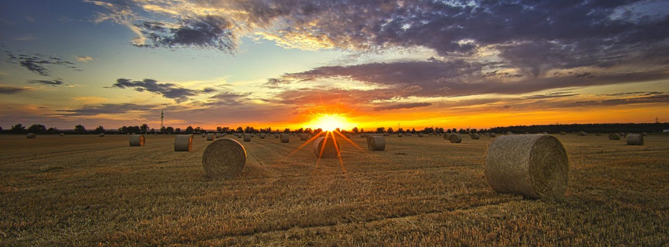 Landschaftsknipser Der Blog