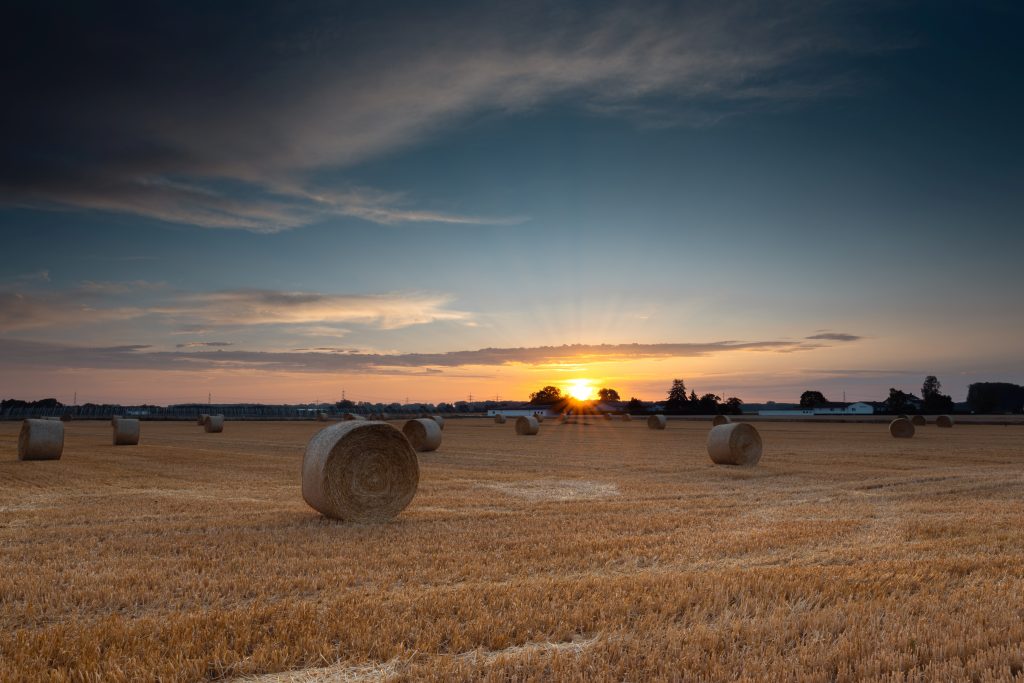 Sonnenaufgang Strohballen