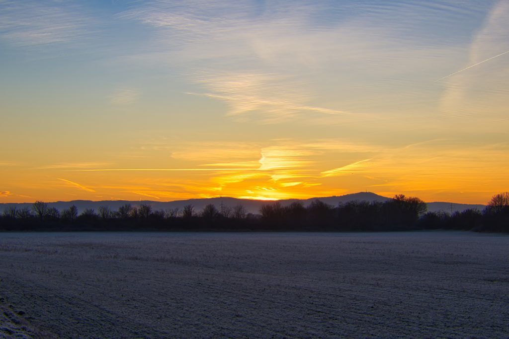 Sonnenaufgang Feld 3