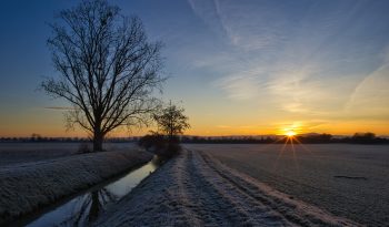 Sonnenaufgang Feld 2