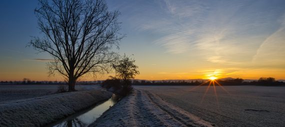 Sonnenaufgang Feld 2