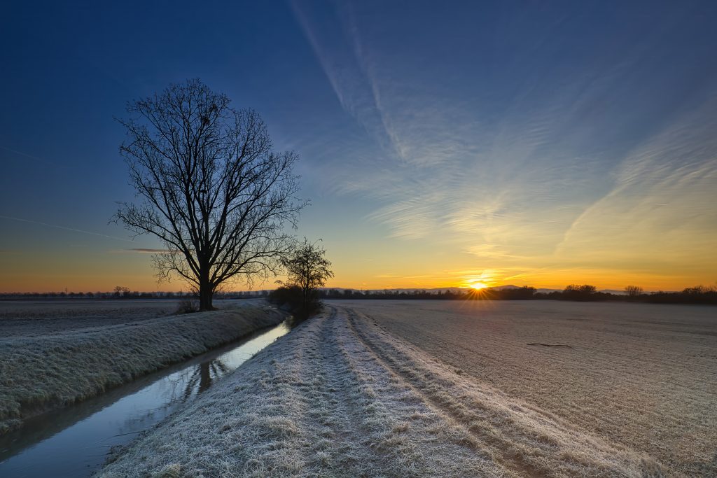 Sonnenaufgang Feld 1